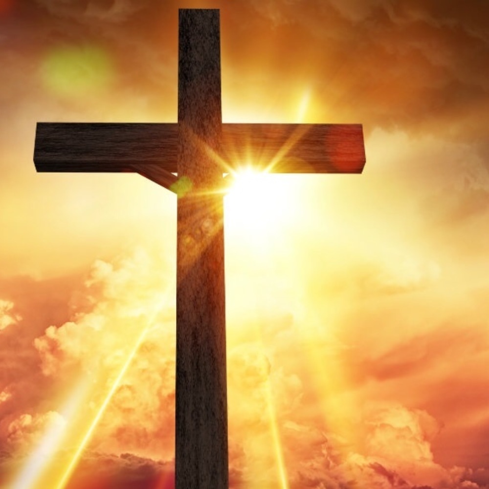 Meet your Posher, Ron